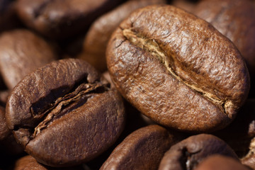 Coffee beans macro view