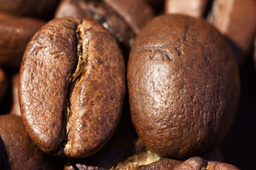 Two coffee beans macro
