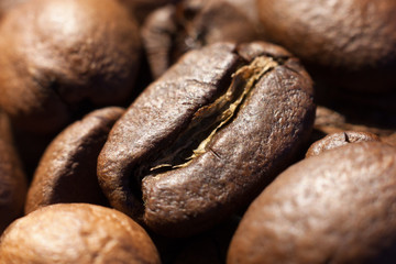 Brown coffee bean macro