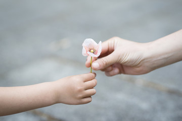 小さな花を手渡す親子