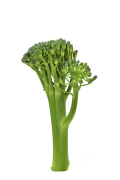 broccolini
