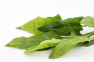 Spinach (Spinacia oleracea) isolated in white background