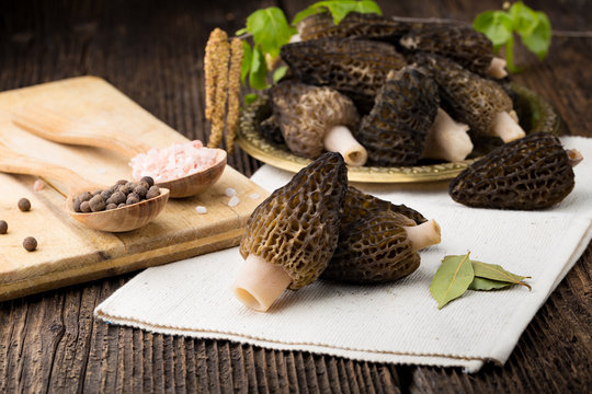 Fresh morchella conica, seasonal mushrooms.