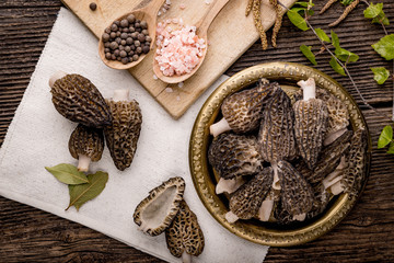 Fresh morchella conica, seasonal mushrooms - obrazy, fototapety, plakaty
