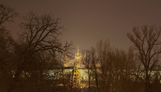 Church Lit Up At Night With Trees