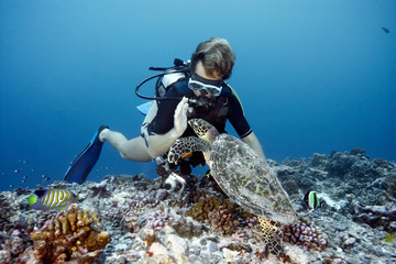 Diver swimming with hawksbill turtle