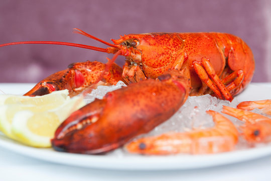 Close up of plate of lobster