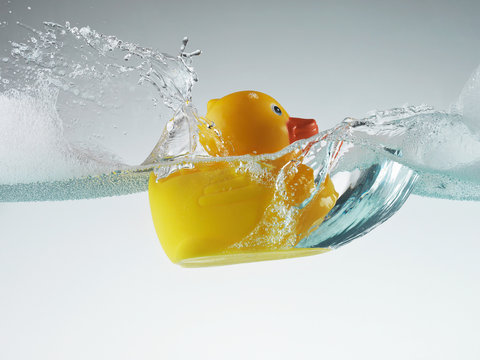 Rubber duck floating in soapy water