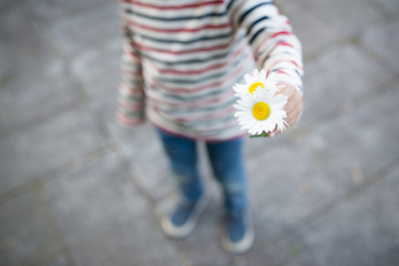 白い花を差し出す子供