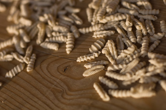 Close up of rolled gnocchi dough