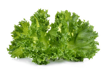 fresh green lettuce leaves isolated on white
