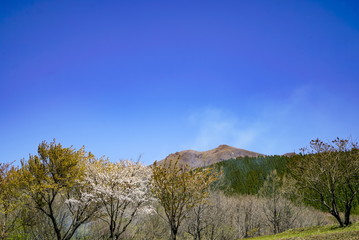 久住高原　沢水