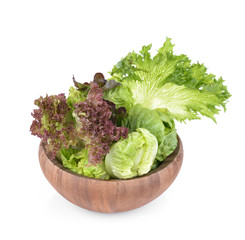 fresh green lettuce leaves isolated on white
