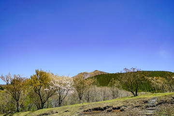 久住高原　沢水