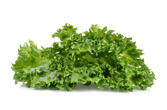 fresh green lettuce leaves isolated on white