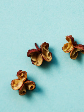 Szechuan peppercorns