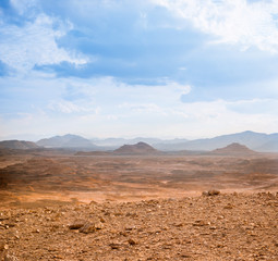 Fototapeta na wymiar Gold arid desert landscape Sinai, Egypt