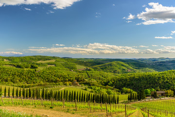 Fototapeta na wymiar RADDA IN CHIANTI, ITALY - APRIL 17, 2017 - View of the countryside near the town of Radda with a vineyard and a villa.