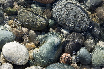 Ripples of the crystal clear shallow water surface, on a stony beach of Lake Huron, Ontario, Canada.
