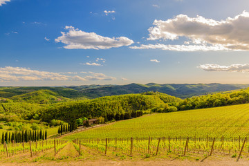 Fototapeta premium RADDA IN CHIANTI, ITALY - APRIL 17, 2017 - View of the countryside near the town of Radda with a vineyard and a villa.