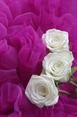 Three sweetheart roses on fluffy pink background