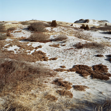 Sand dunes, Sandy Neck, Cape Cod, USA
