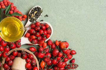 Medicinal plants and herbs composition: Dog rose, bunch branch Rosehips, types Rosa canina hips, essential oil. bunch,Herbal  Tea with rosehip,  dried flowers of linden and chamomile - pharmacy  