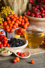 Medicinal plants and herbs composition: Dog rose, bunch branch Rosehips, types Rosa canina hips, essential oil. bunch,Herbal  Tea with rosehip,  dried flowers of linden and chamomile - pharmacy  