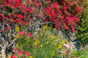 Selling colorful lands of five lands in italy in the lugura coast