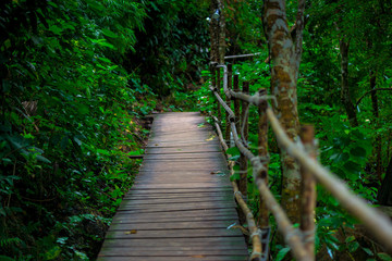 Krabi, Thailand footpath in the mountains to the beach