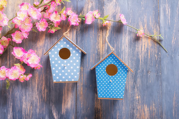 two birdhouses hang on spring tree flowers with antique rustic wood background.