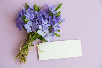 Vinca - flower bouquet. space for text.  Romantic date, invitation, sweet wish concept 