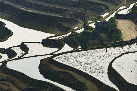 Yunnan Yuanyang Terrace