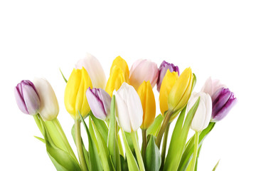 Bouquet of tulips isolated on a white