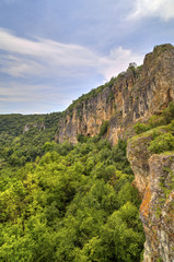 Beautiful summer landscape