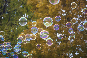 soap bubbles in the air