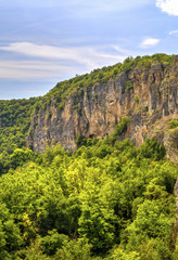 Beautiful summer landscape
