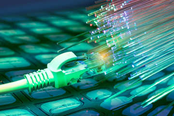 network cables closeup with fiber background © xiaoliangge