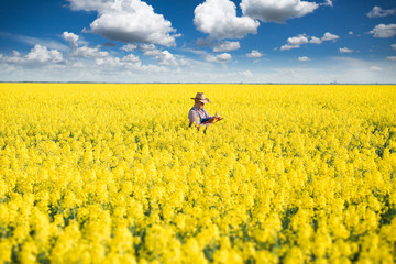 Farmer Standing in rapeseed and Controlling The Growth of Plants