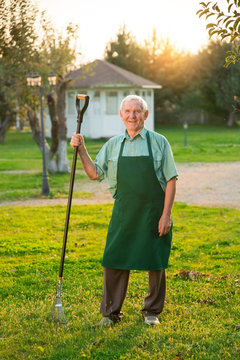 Senior gardener with rake smiling. Old man standing on grass. Best gardening tips.