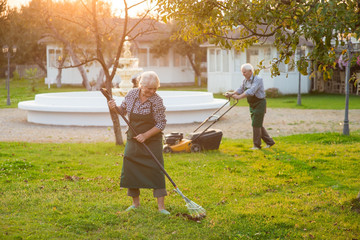 Senior couple working in garden. Elderly people outdoors in summer.