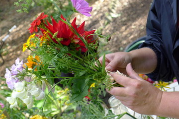 You can see someone's hands creating a lovely Dahlia bouquet.