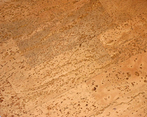 brown cork texture