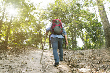 Obraz premium Asian hipster man jungle trekking, walking outdoors in the deep fresh forest.