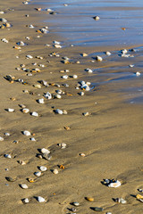 Pebbles on the Beach