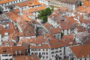 Bright tiled roofs of the houses in Kotor old town in Montenegro seen from above