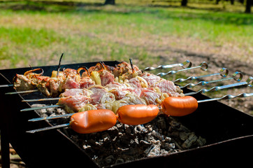 Cooking barbecue in nature.