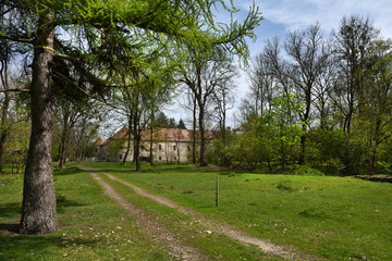 Old abandoned castle ruins in the forest