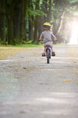 Obraz premium Child boy on a bicycle in the forest in summer. Boy cycling outdoors in safety helmet. Sun flare effect added