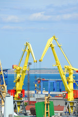 Bulk cargo ship under port crane